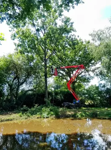 arboriste à Ambrière-les-Vallées - image 3