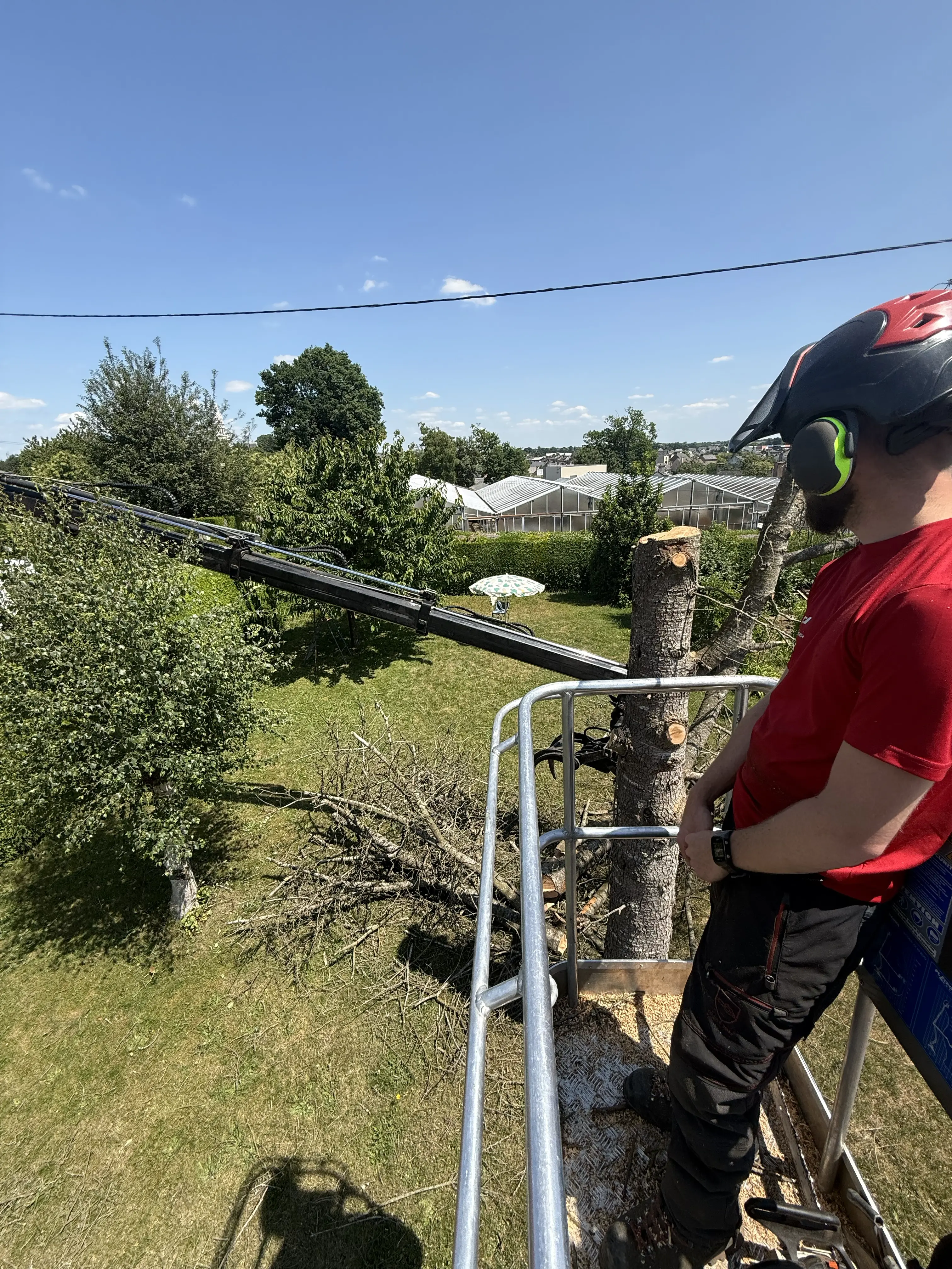 arboriste ambriere les vallees