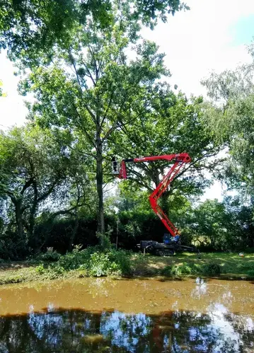 arboriste Bagnoles de l'Orne-5