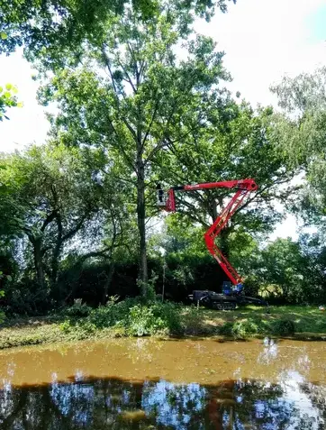 arboriste Domfront en Poiraie-1