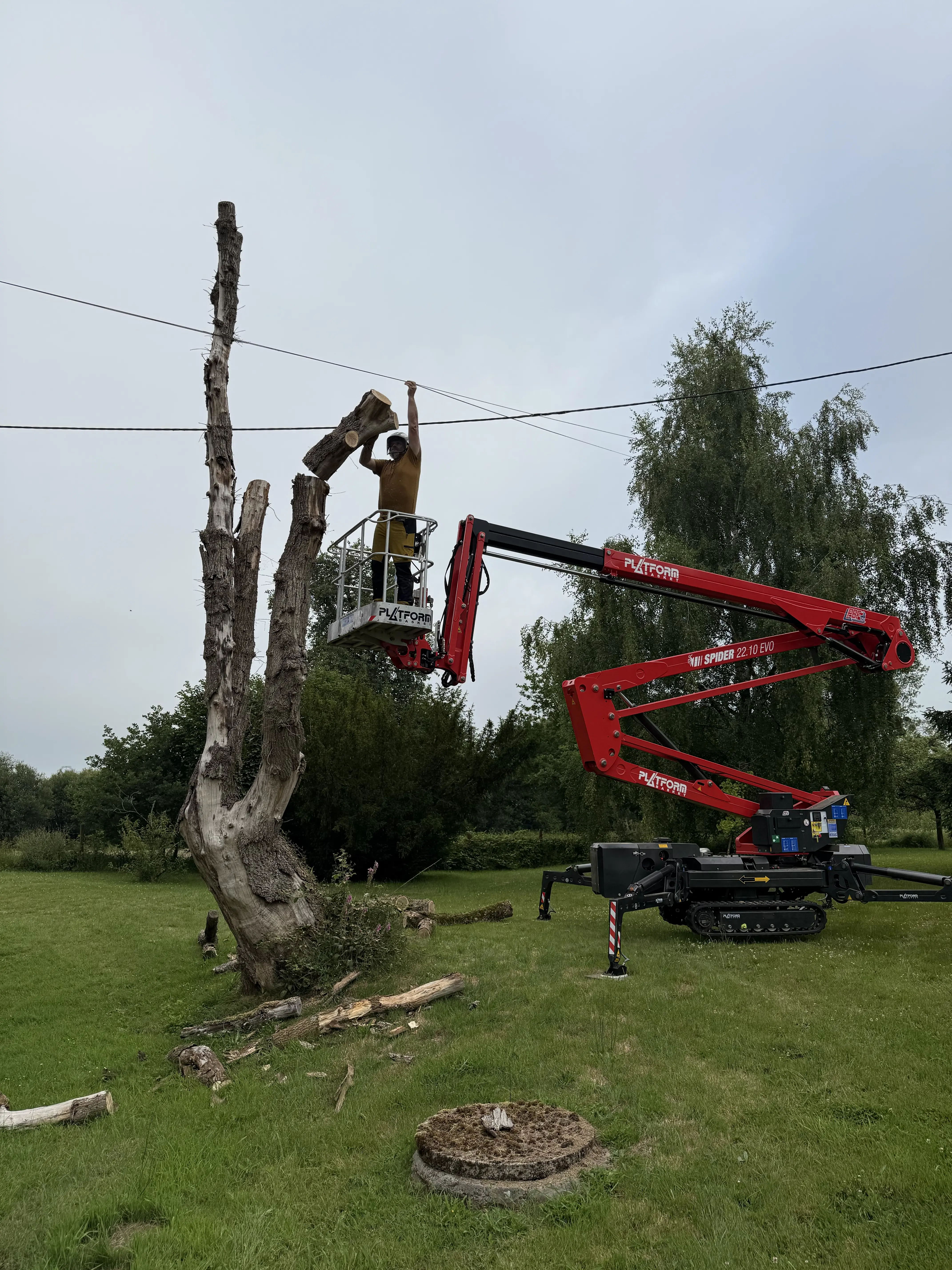 arboriste domfront en poiraie