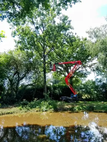 bucheron Ambrière-les-Vallées-5