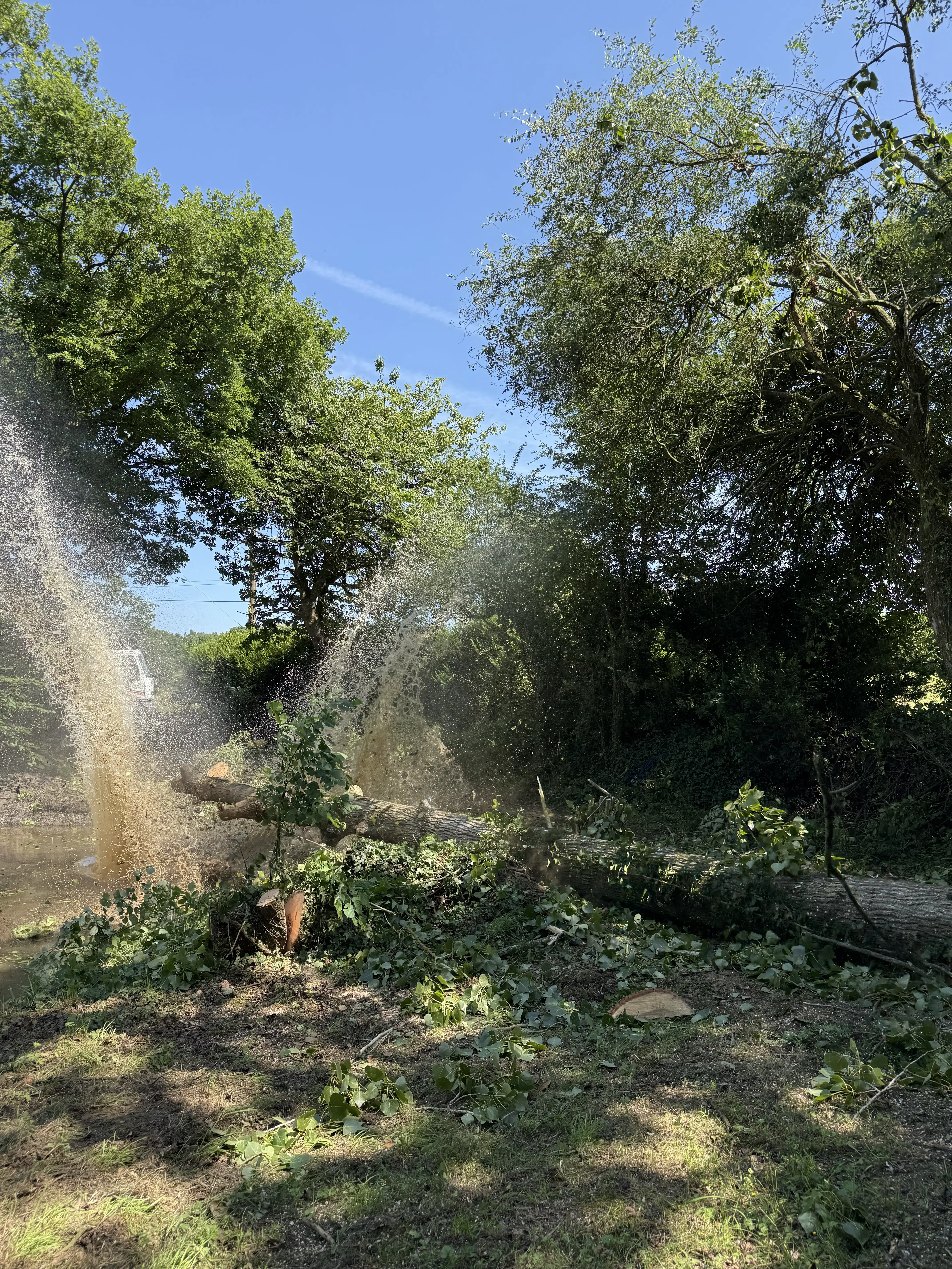 bucheron ambriere les vallees
