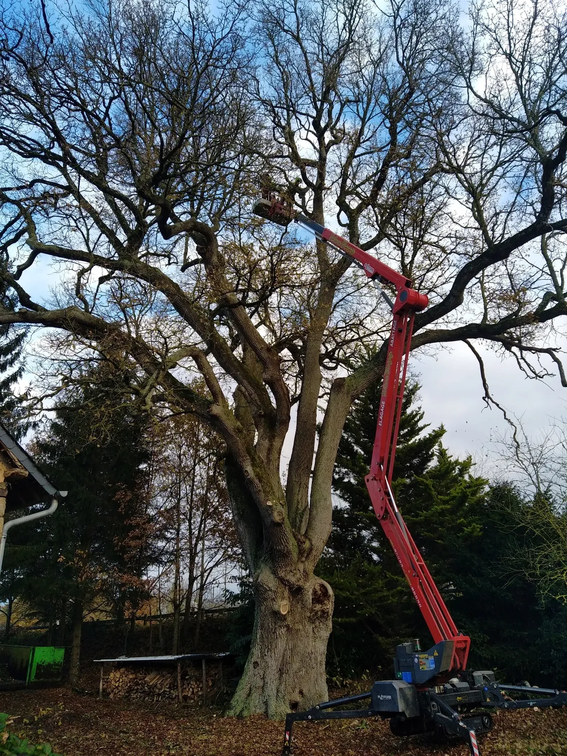 bucheron domfront en poiraie