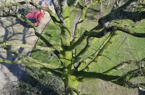 bucheron à Domfront en Poiraie - image 4