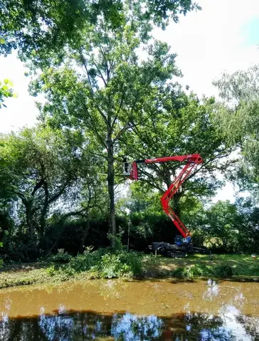 bucheron à Ernée - image 4