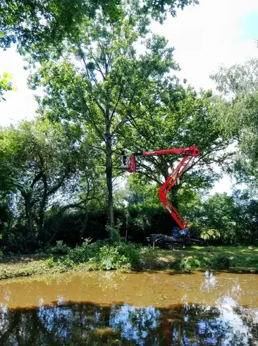 bucheron Martigné-sur-Mayenne-5