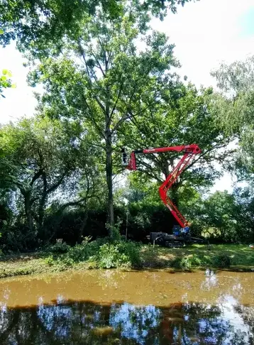 bucheron à Villaines-la-Juhel - image 2