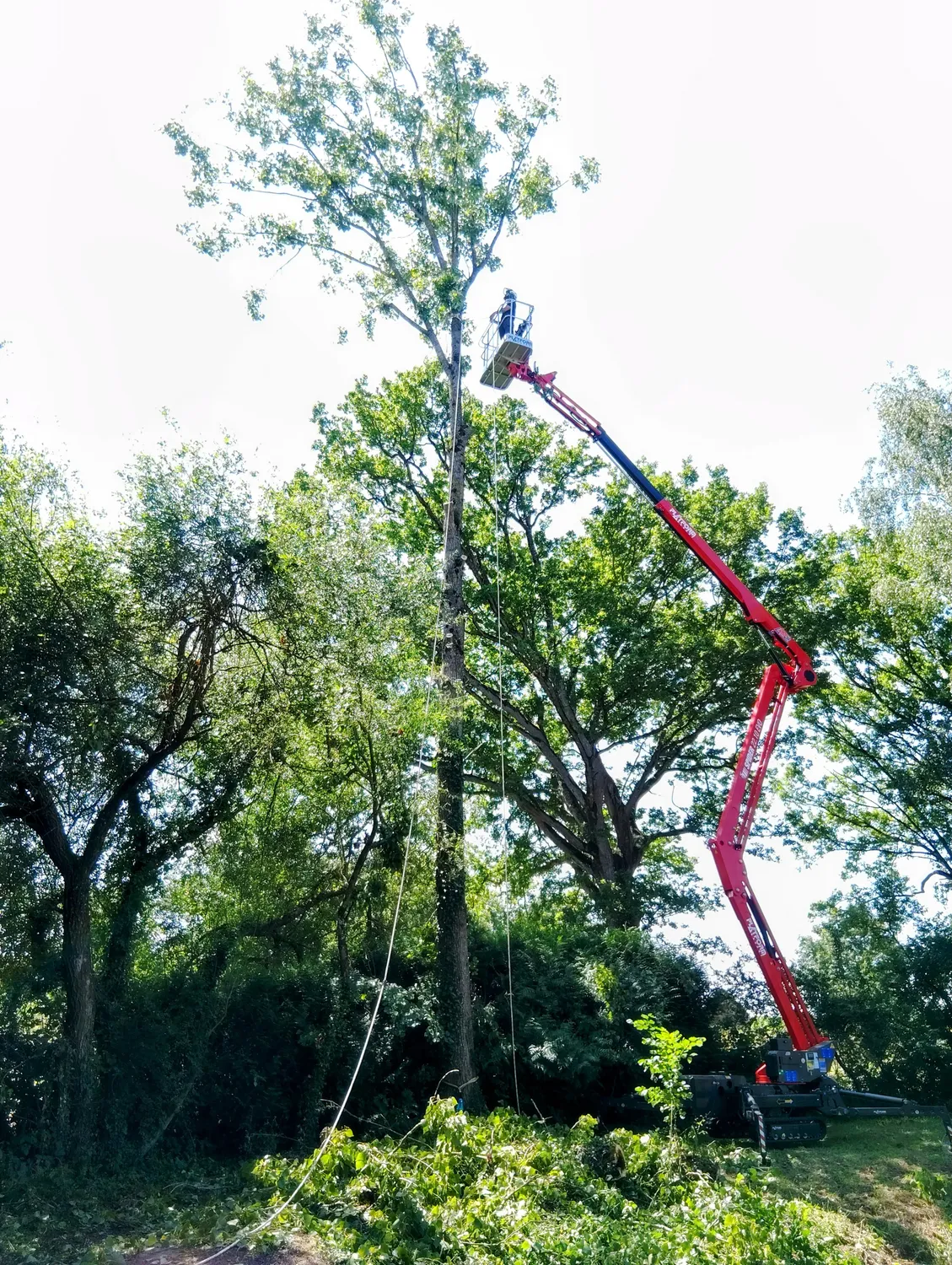 dessouchage martigne sur mayenne