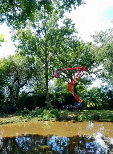 dessouchage Mayenne-1