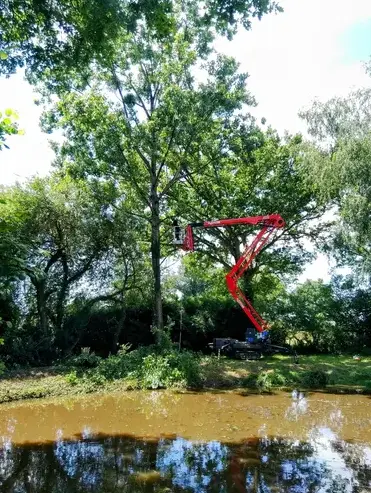 dessouchage à Villaines-la-Juhel - image 3