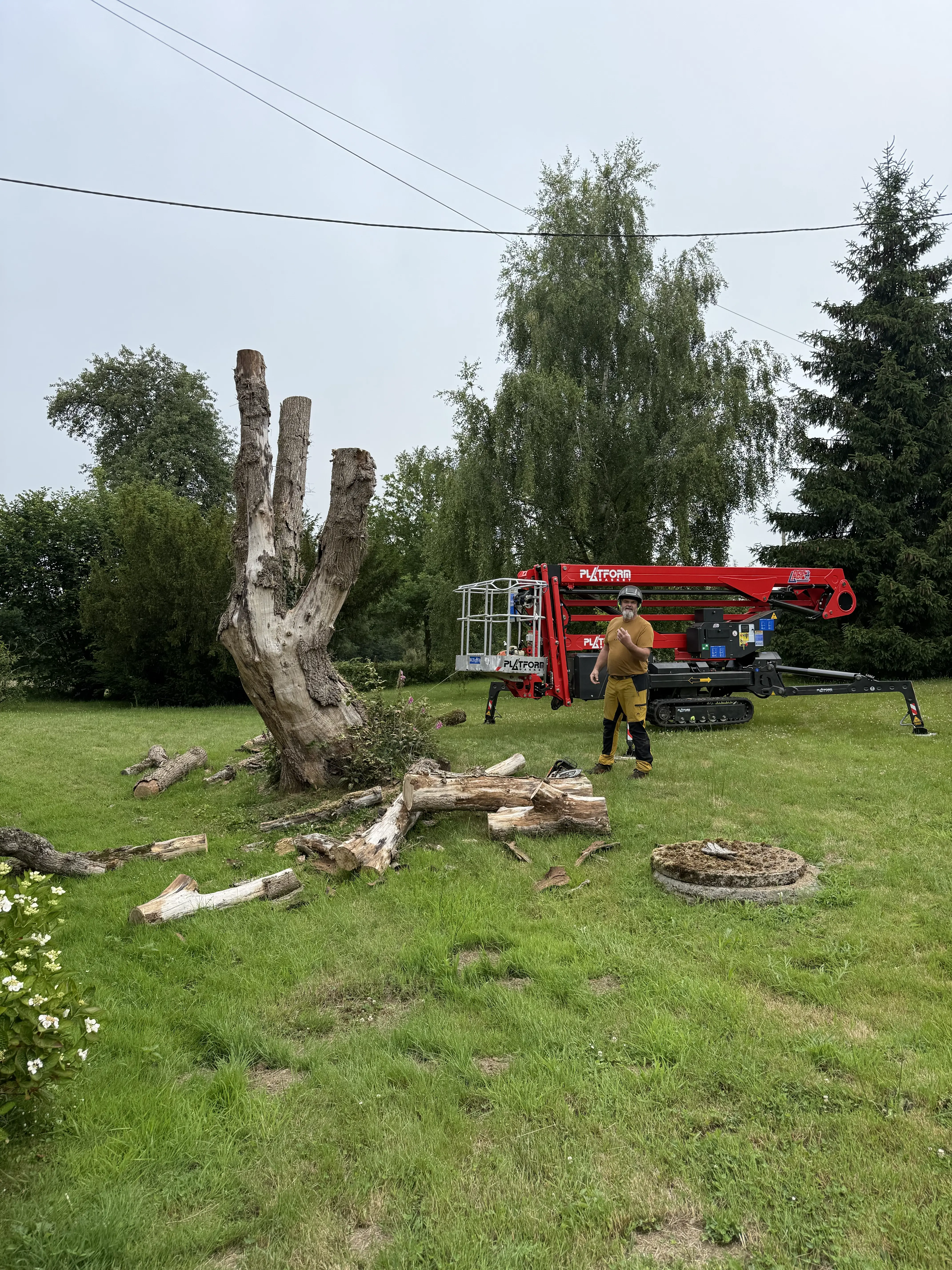 elagueur grimpeur ambriere les vallees