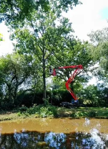 élagueur grimpeur Bagnoles de l'Orne-1