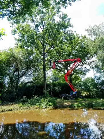 élagueur grimpeur Evron-5