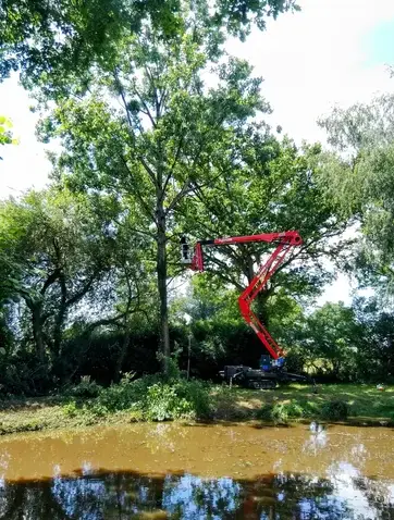 élagueur grimpeur Martigné-sur-Mayenne-1