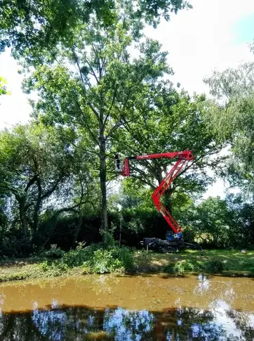 élagueur grimpeur à Mayenne - image 3