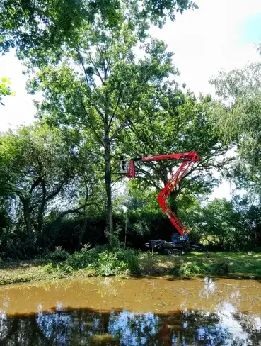 haubanage à Ambrière-les-Vallées - image 4