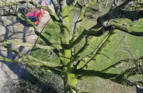 haubanage Bagnoles de l'Orne-5