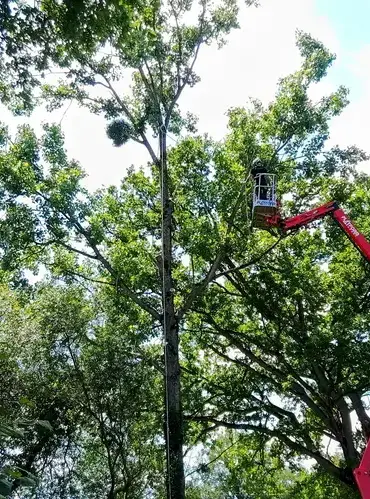 haubanage Domfront en Poiraie-1