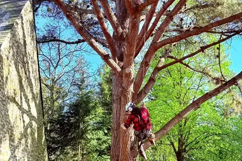 haubanage à Ernée - image 2