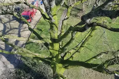 haubanage à Evron - image 4