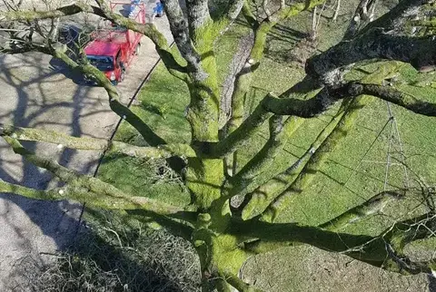 haubanage Martigné-sur-Mayenne-5