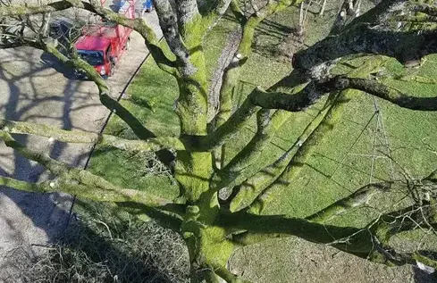 haubanage à Mayenne - image 3