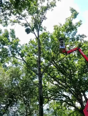 haubanage à Villaines-la-Juhel - image 4