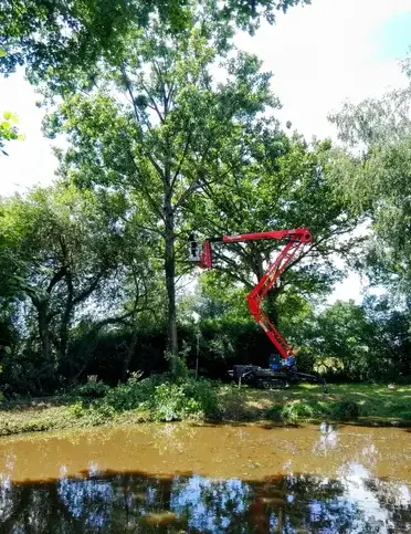 haubanage Villaines-la-Juhel-5