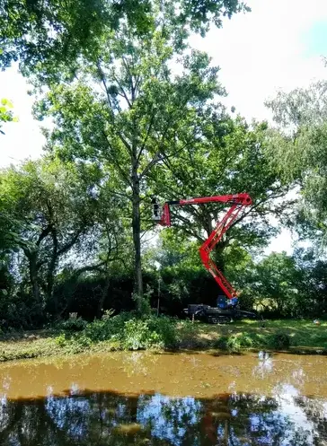 rognage de souche à Ambrière-les-Vallées - image 4