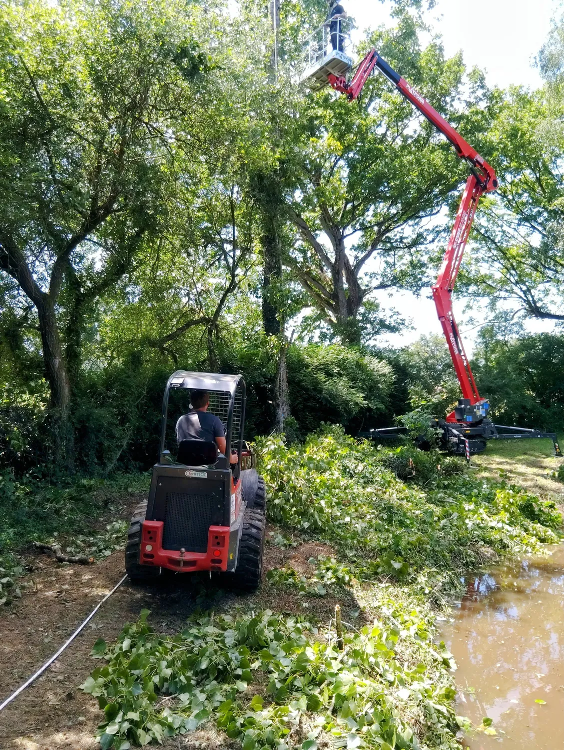 rognage de souche ambriere les vallees