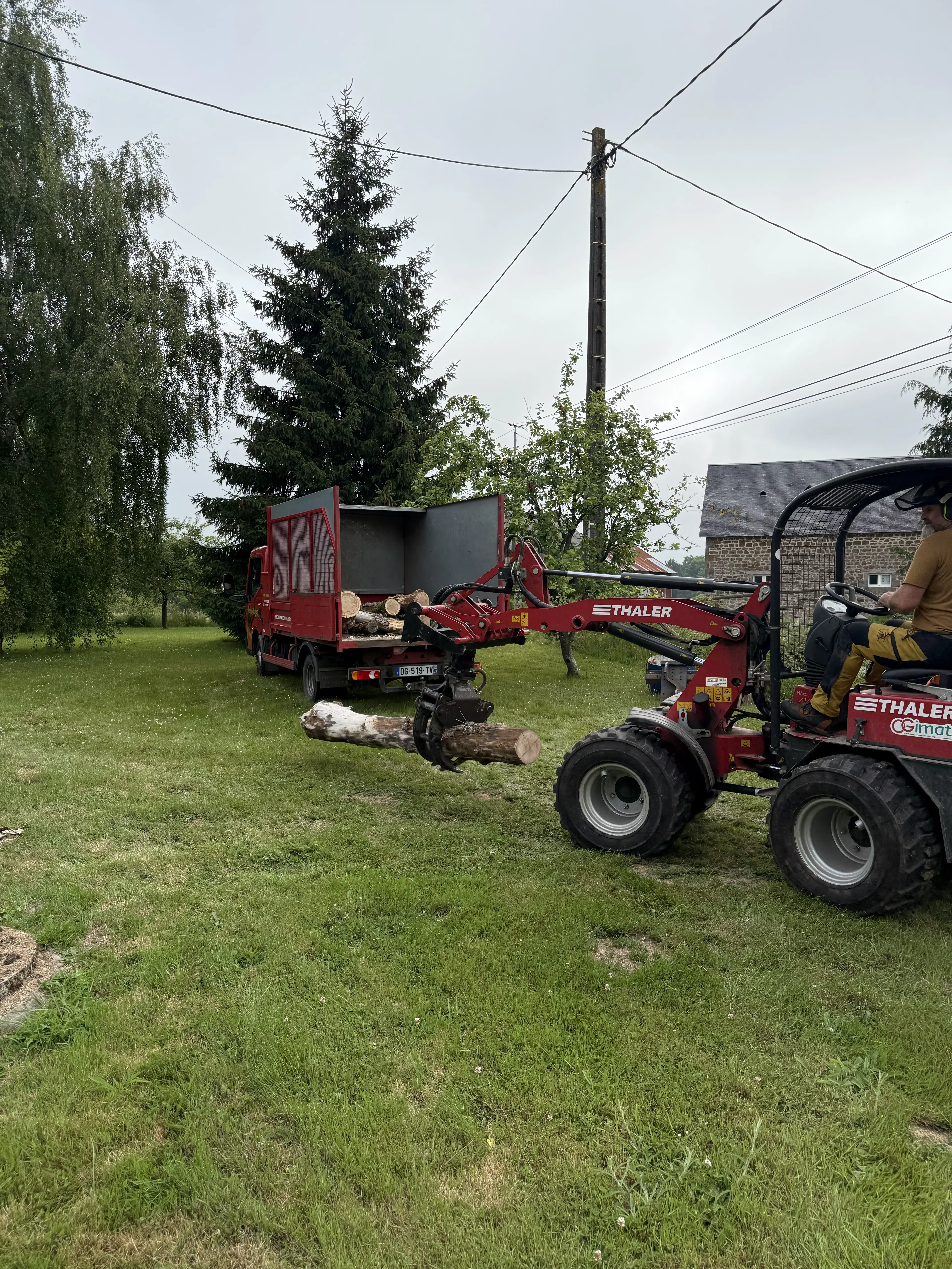 rognage de souche domfront en poiraie