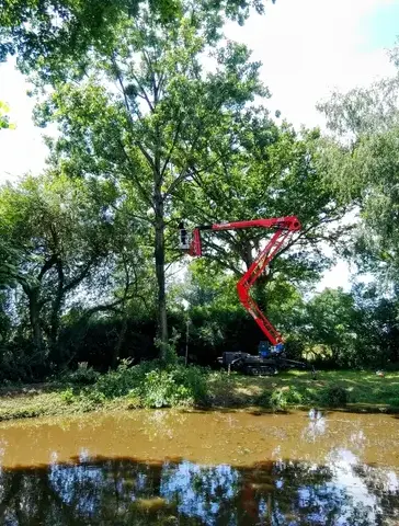 rognage de souche à Martigné-sur-Mayenne - image 3