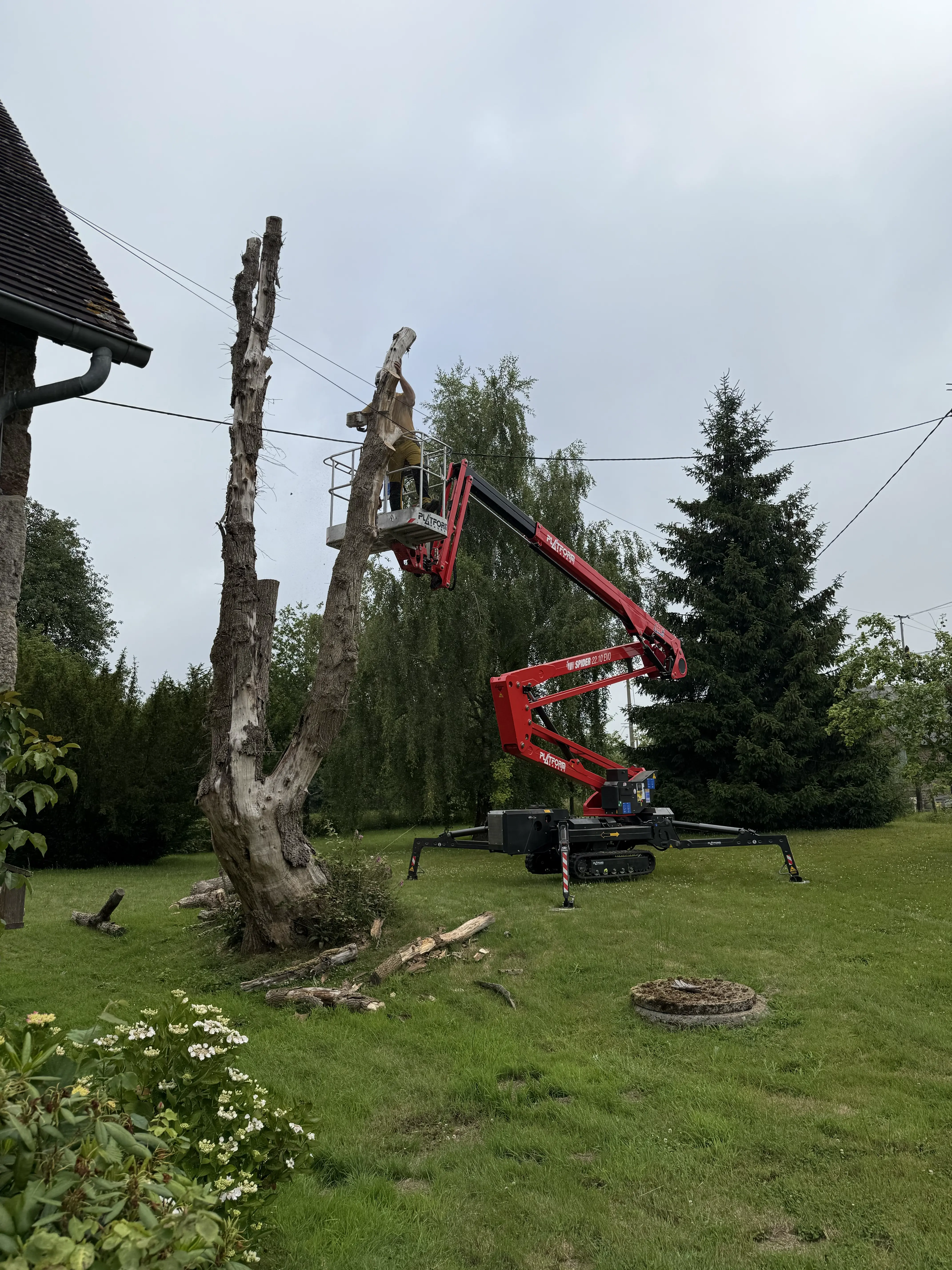 rognage de souche mayenne