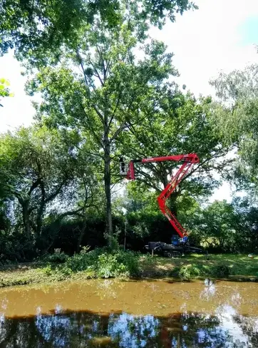 tailles des arbres à Domfront en Poiraie - image 3