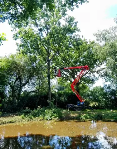 tailles des arbres Ernée-1