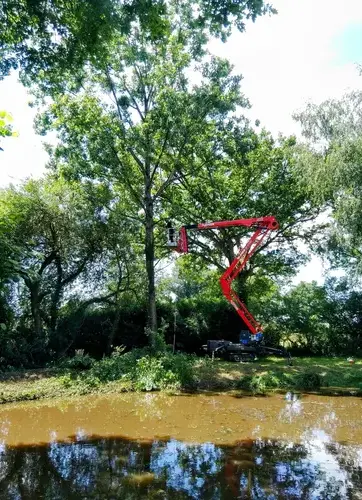 tailles des arbres à Villaines-la-Juhel - image 2